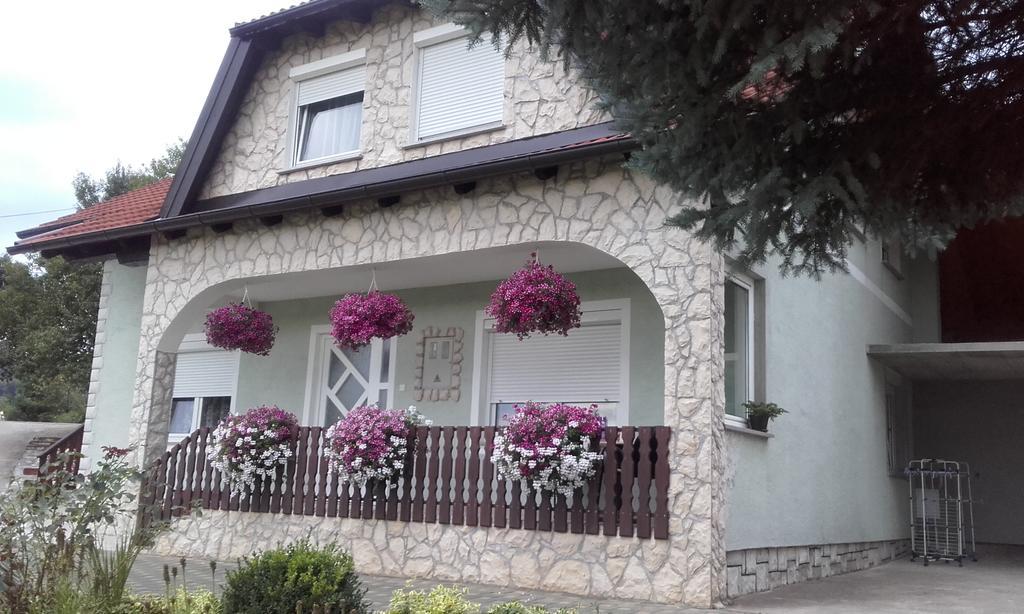 Guesthouse Miha Раковица Экстерьер фото